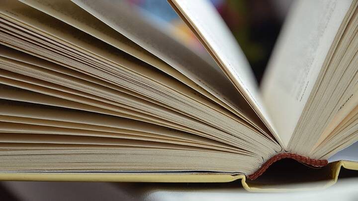  Фото: Анна Быкова / Вечерняя Москва