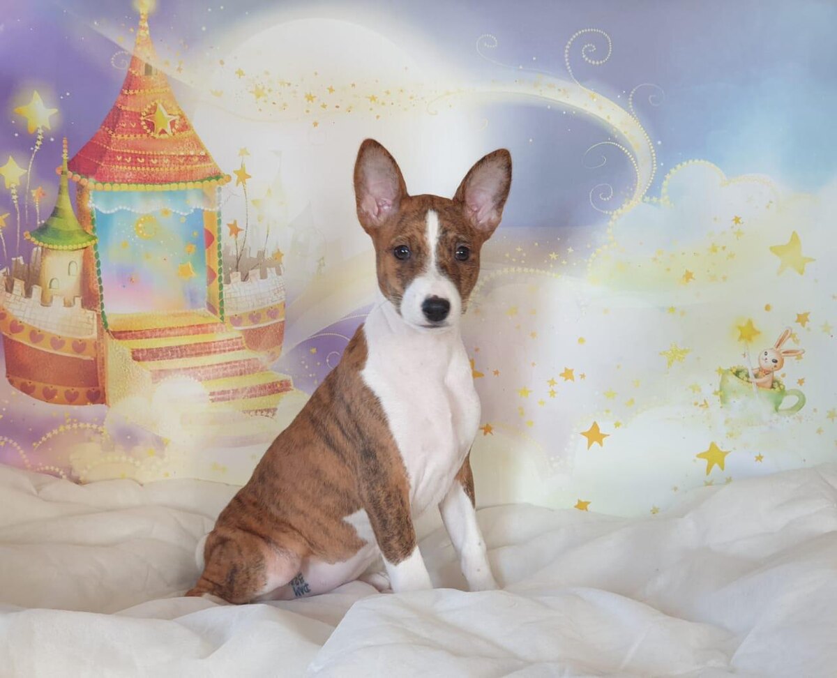 Три месяца.