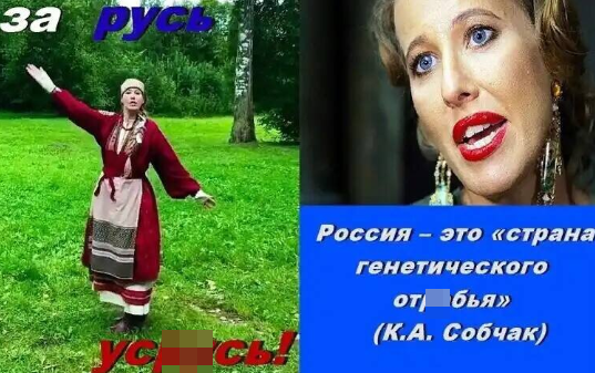 Отредактированный коллаж с Дзен-канала "Тысяча и одно мнение".