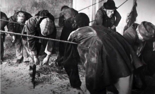 Двухпенсовый подвес.