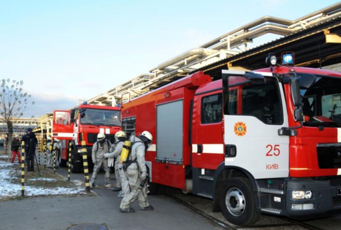     / Источник: © Global Look Press