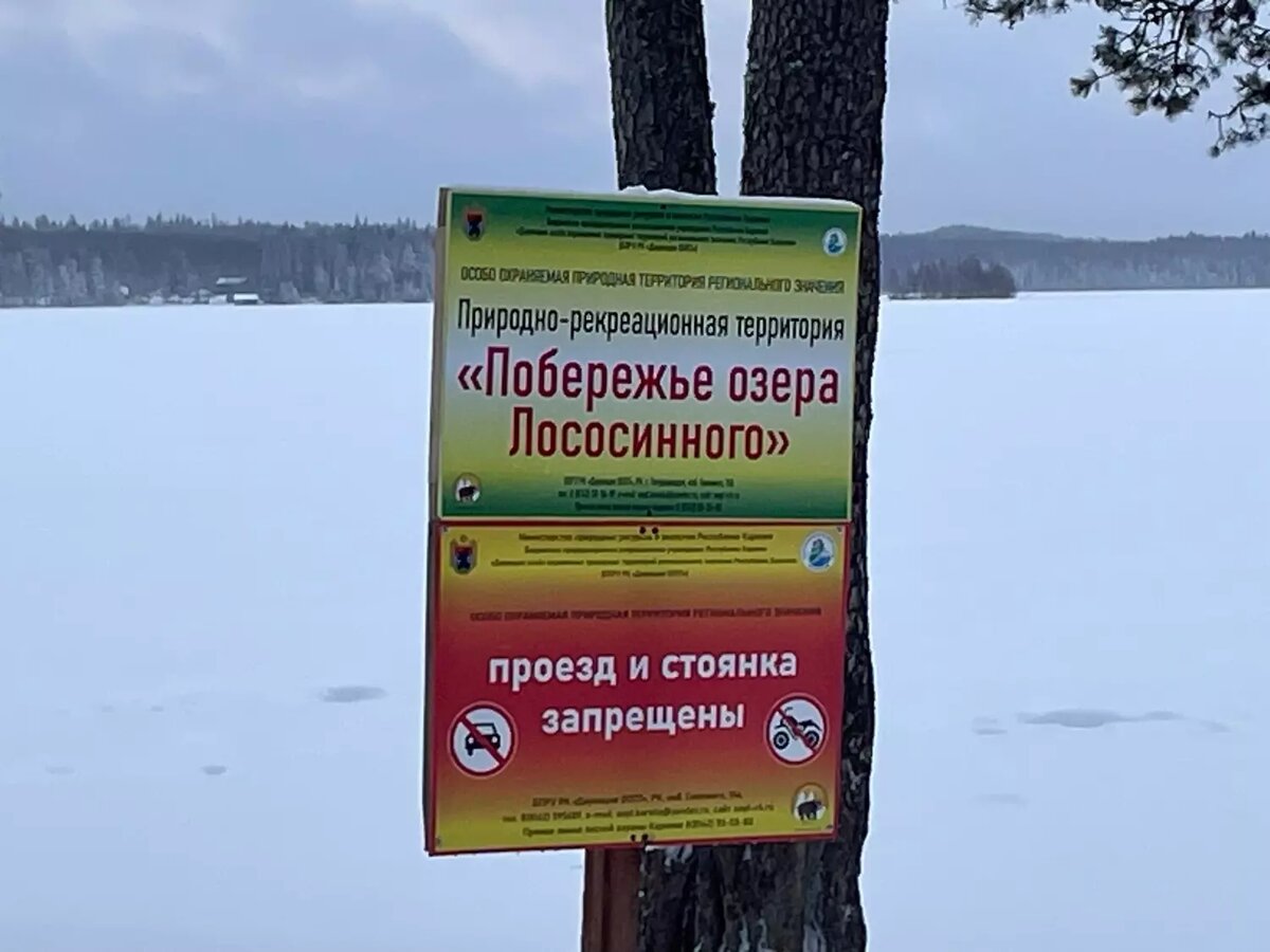     Источник: https://vk.com/wall520975344_11017?w=wall520975344_11017