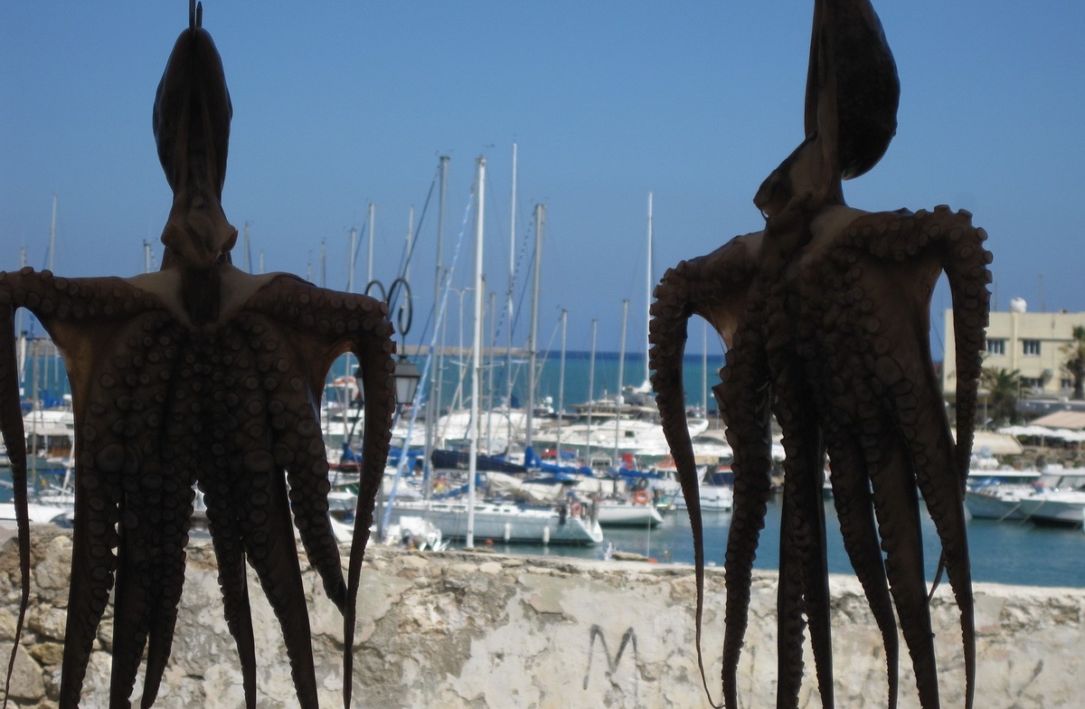 Элеутерококк применение