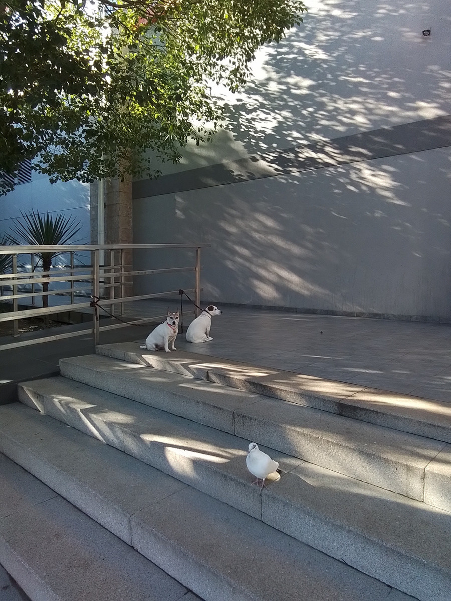 Солнечный день, я на прогулку выхожу 😀