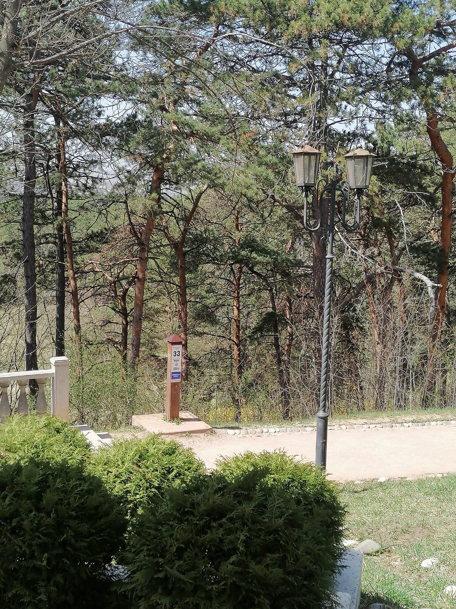 В Среднем парке. 12 апреля 2024 года.