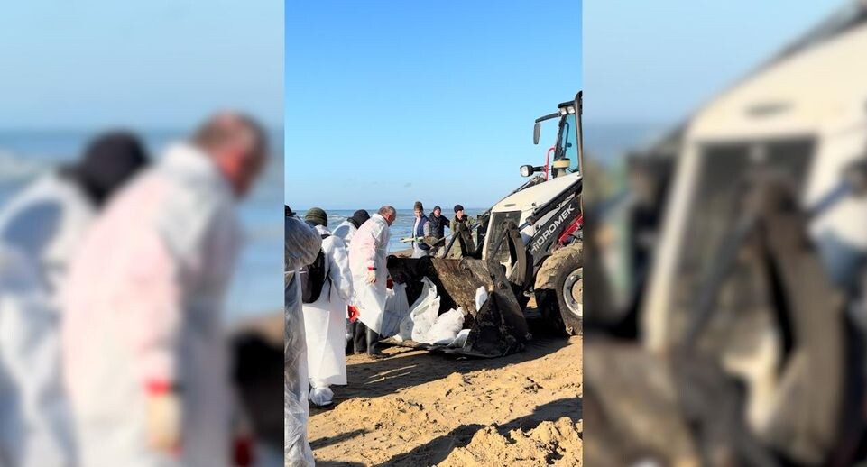    Телеканал «360»