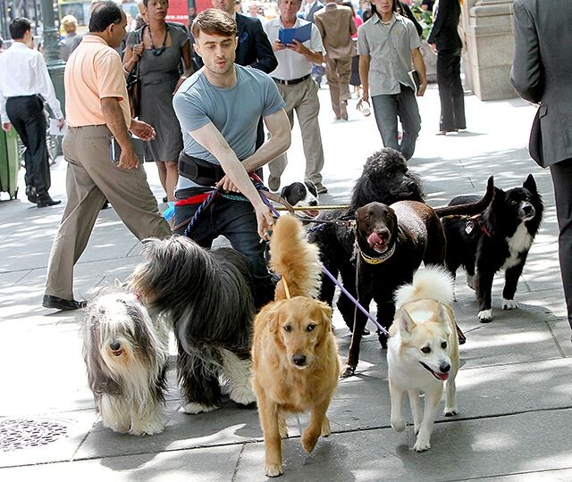 Сразу бы застрелился на его месте (из интернета) 