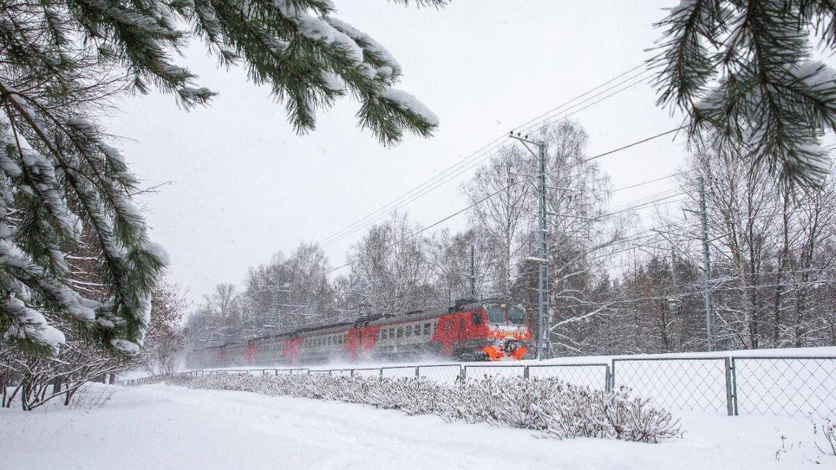    Фото: t.me/ozdrzd