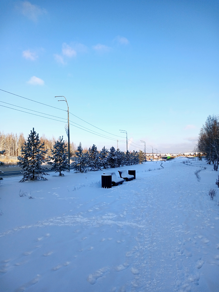 "Доброе утро,  мир! Ты прекрасен!" Фото автора 