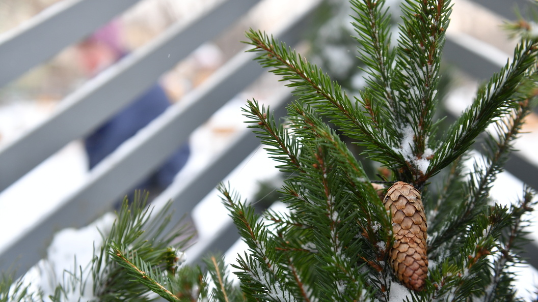    Komsomolskaya Pravda/Global Look Press