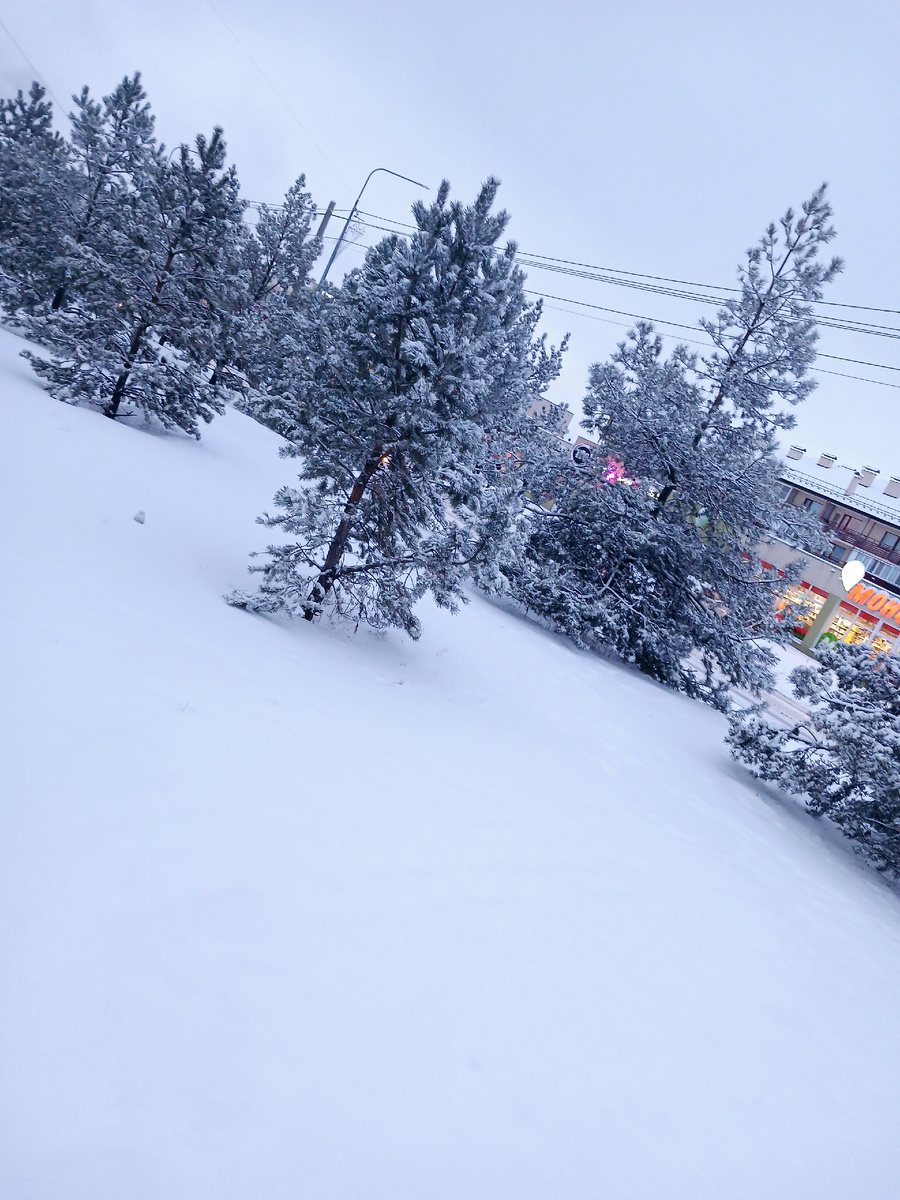 "Доброе утро, мир! Ты прекрасен!" Фото автора 