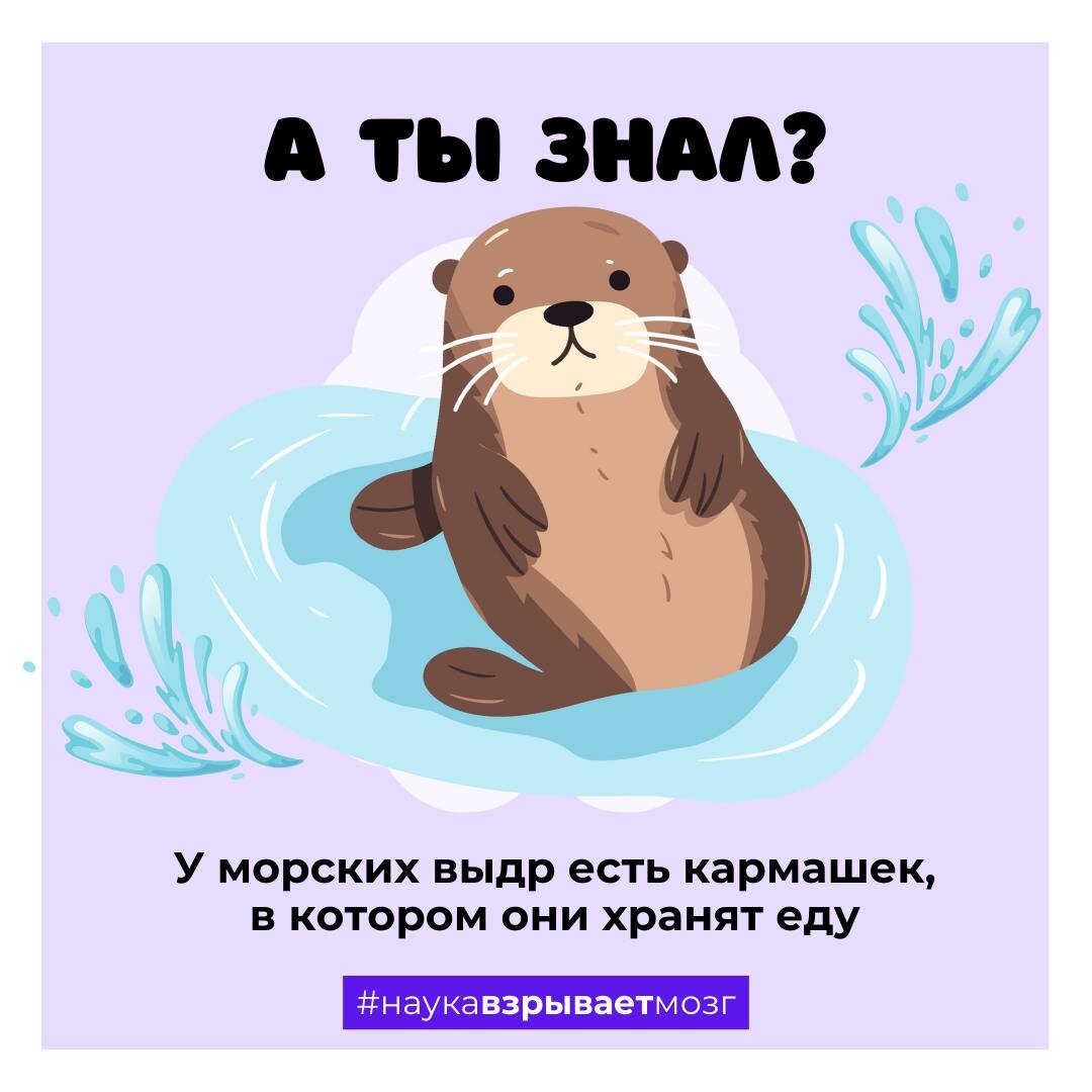 Она тебя любит the limba. И привяжет она тебя к себе невидимой нитью. Привяжет она к себе чем то чего не видно и отдашь ты ей всю душу. Ней ты это. Люблю тебя.