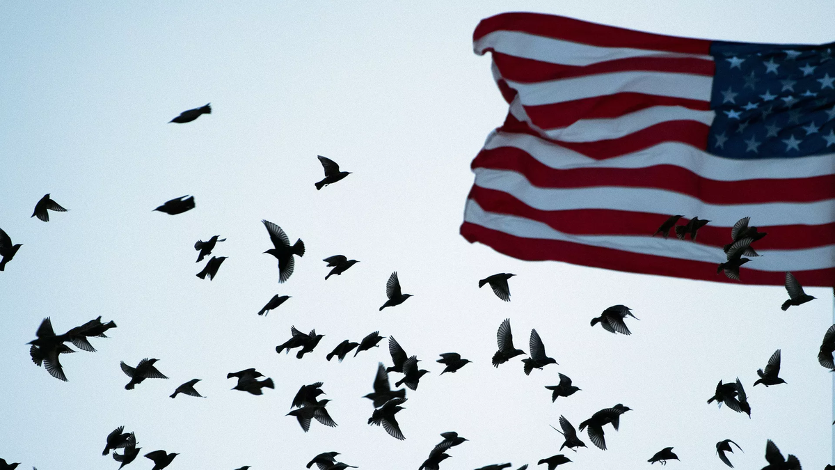 © AFP 2024 / BRENDAN SMIALOWSKI