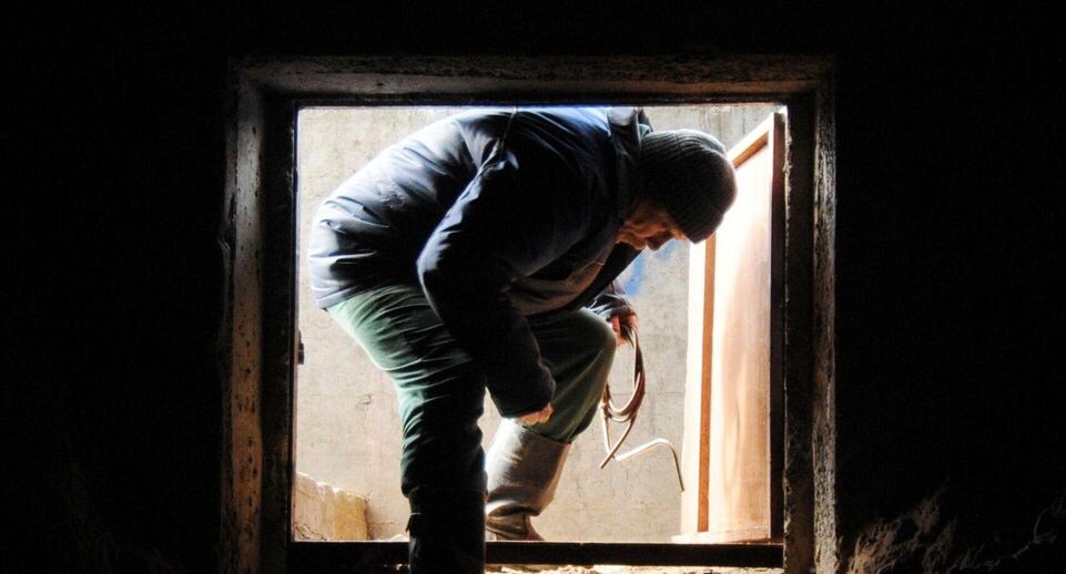    РИА «Новости»