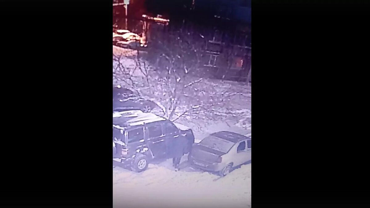     Источник: Скриншот видеозаписи