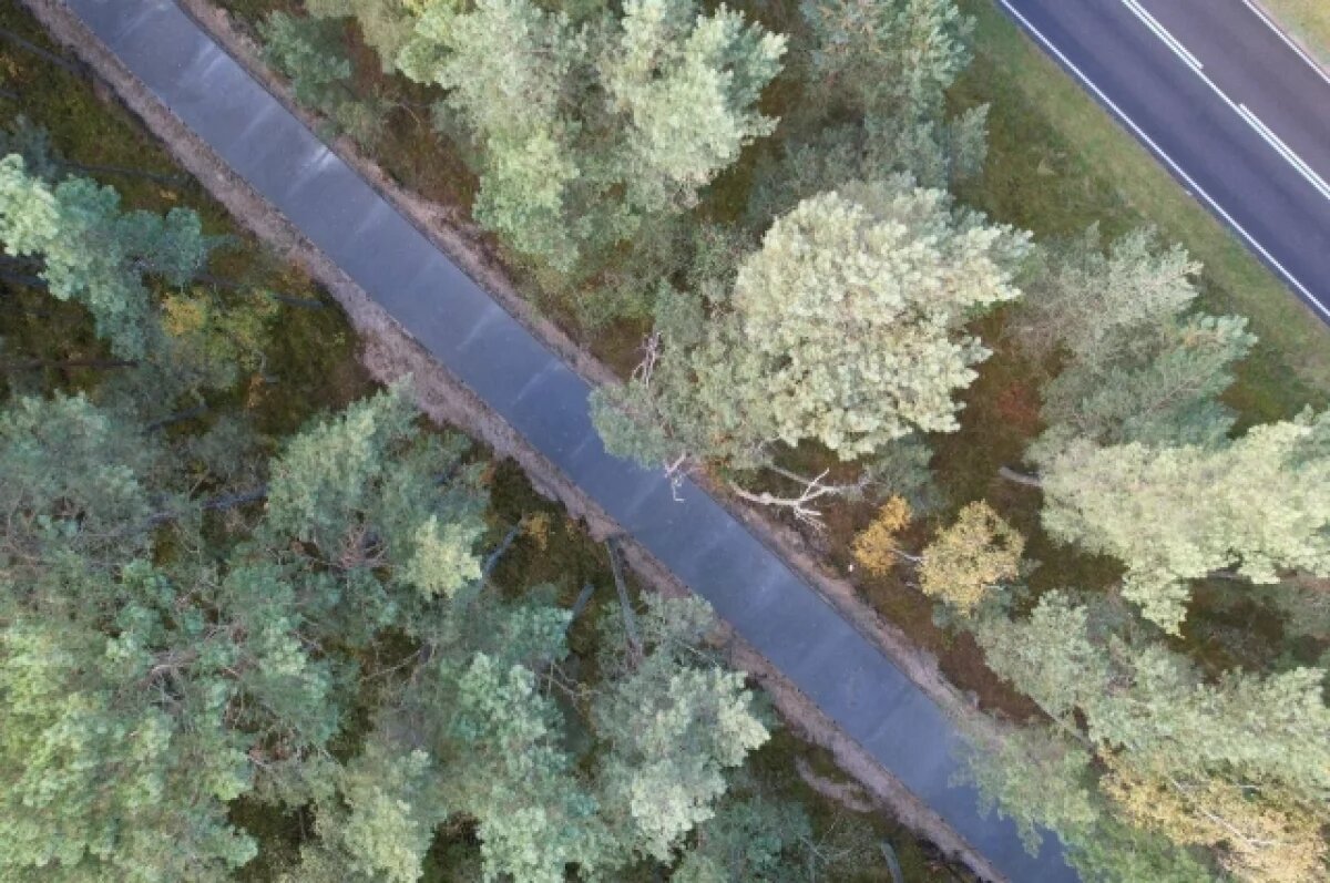    В регион направят 85 млн на строительство велодорожки вдоль побережья