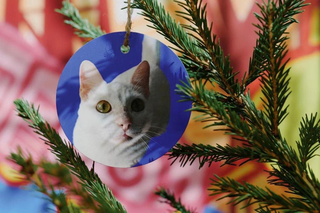 Фото: мультицентр "Контора пароходства"