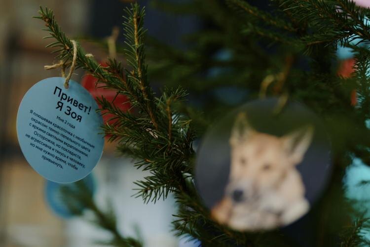 Фото: мультицентр "Контора пароходства"