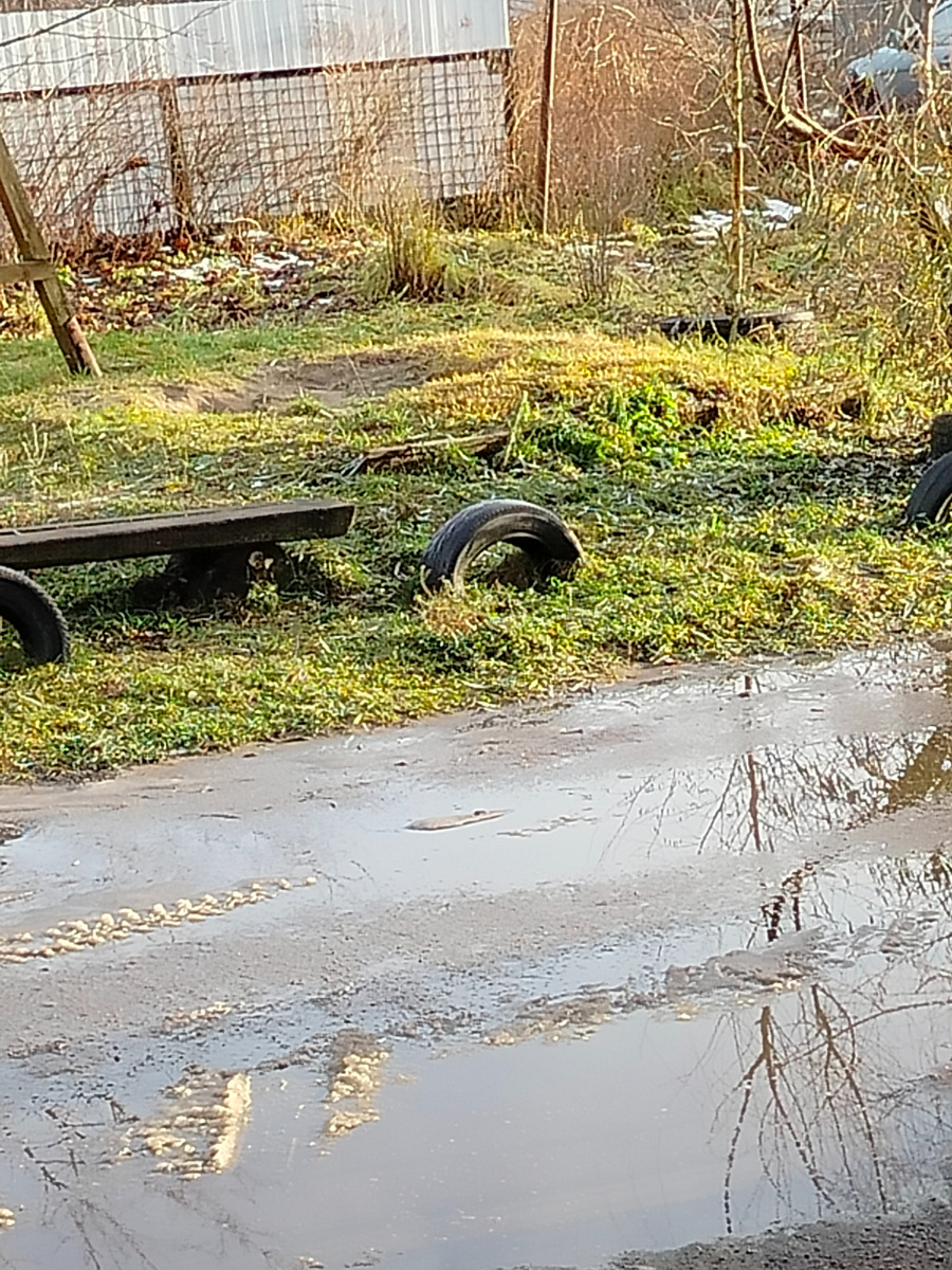 Зумом лужи приблизила