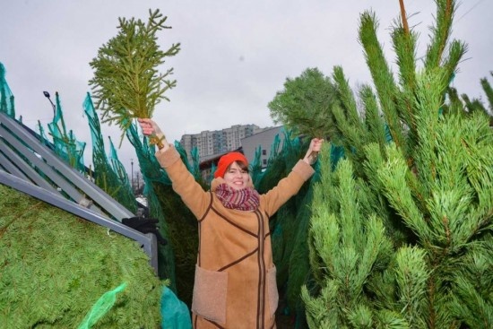    Фото: Олег Серебрянский