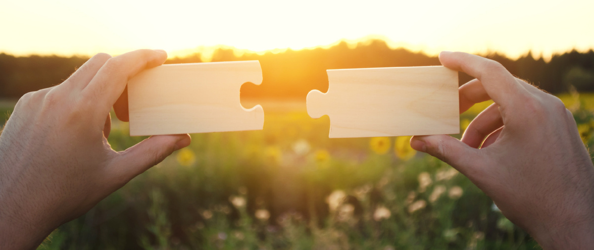 Редактировать галерею