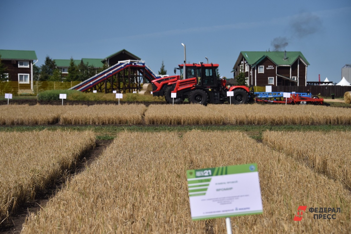 В сфере сельского хозяйства и лесничества вырос спрос на специалистов.  Фото: Фото: ФедералПресс / Полина Зиновьева