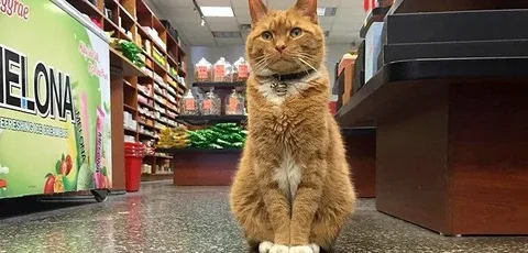 Фото из инета