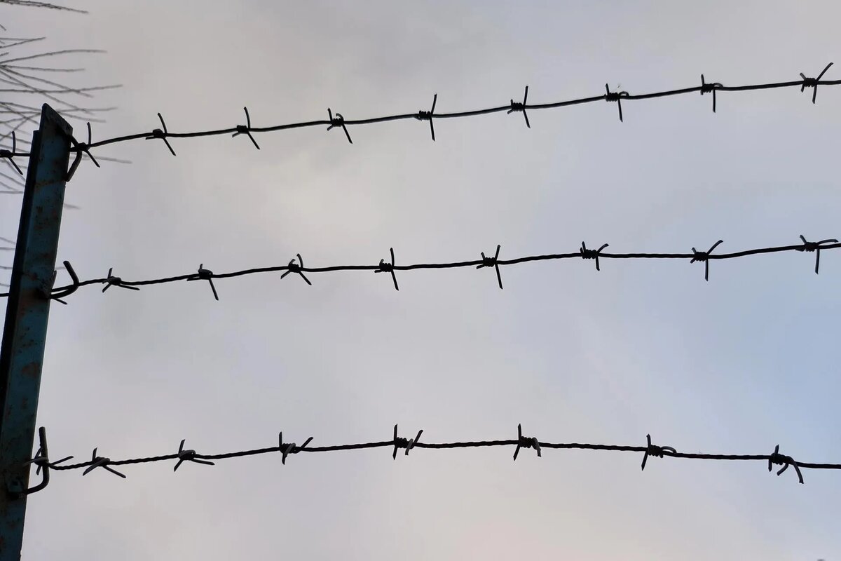 Фото: Maksim Konstantinov/Global Look Press