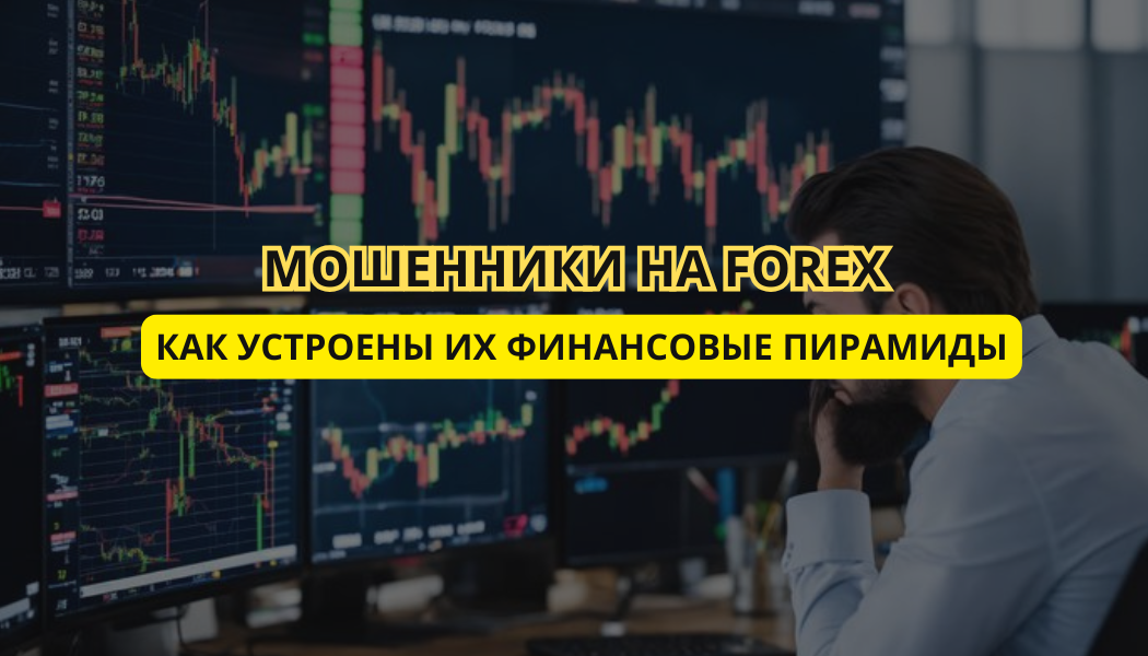 Мошенники на Forex: как устроены их финансовые пирамиды