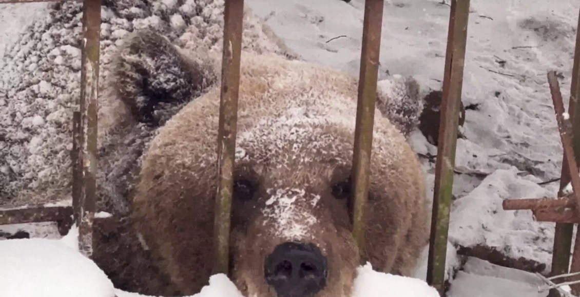    Фото: Росприроднадзор