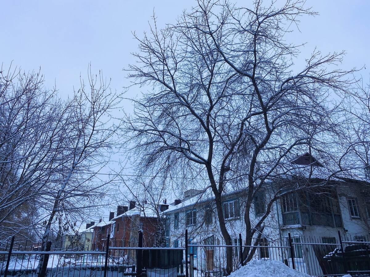    Фото: Тамара Башаева