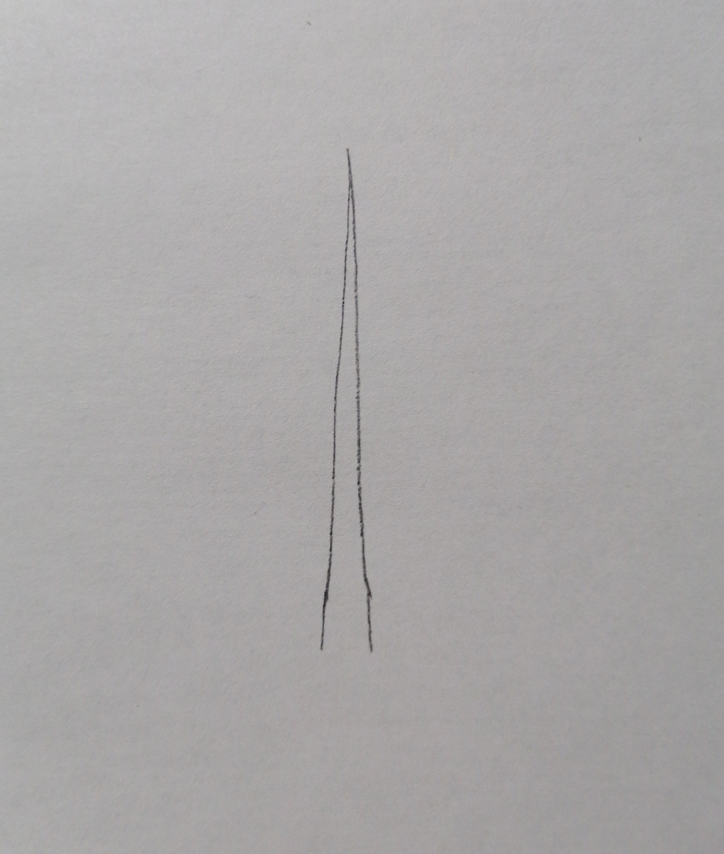 Рисунок автора 