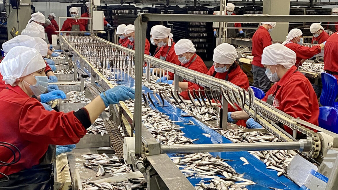    Рыбзавод за родину в кКалининградской области. Фото: mbkaliningrad.ru Пётр Берёза