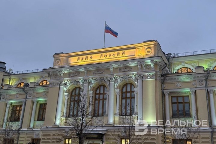 Дарья Пинегина / realnoevremya.ru