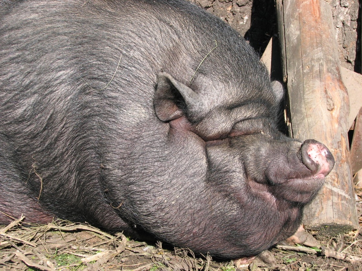 Источник: sarinform.ru