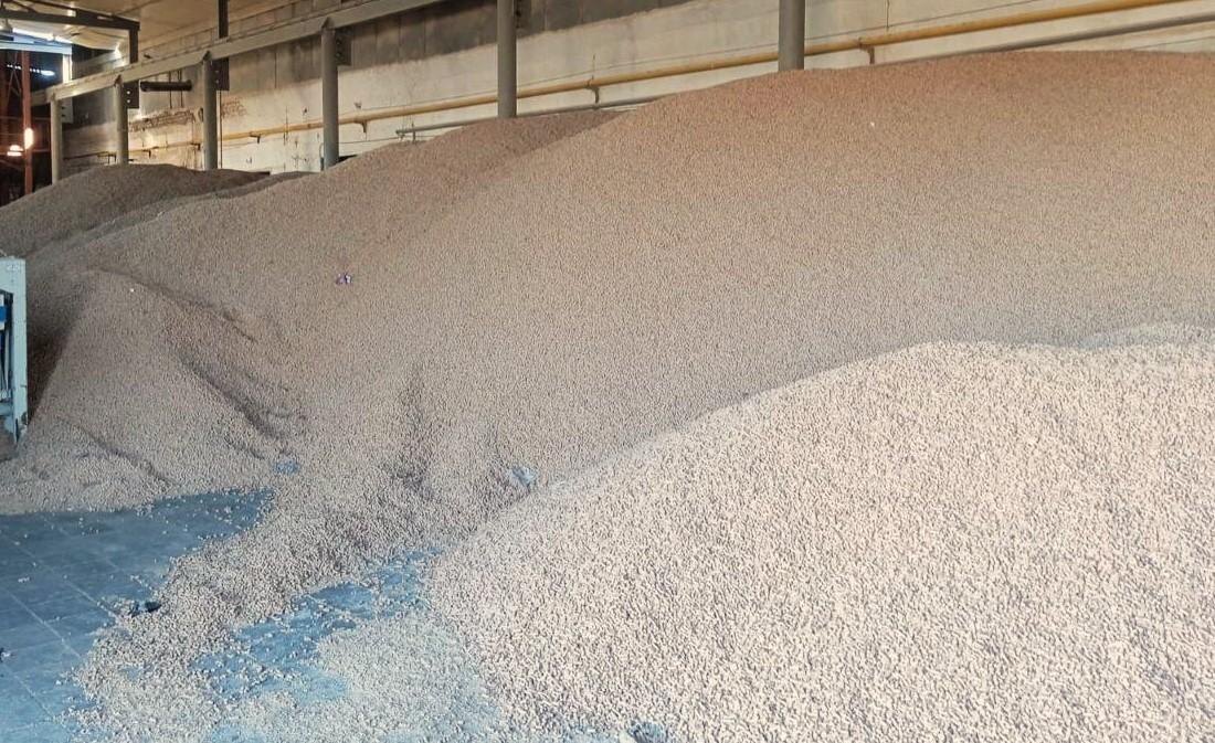 Фото: АПК Новости