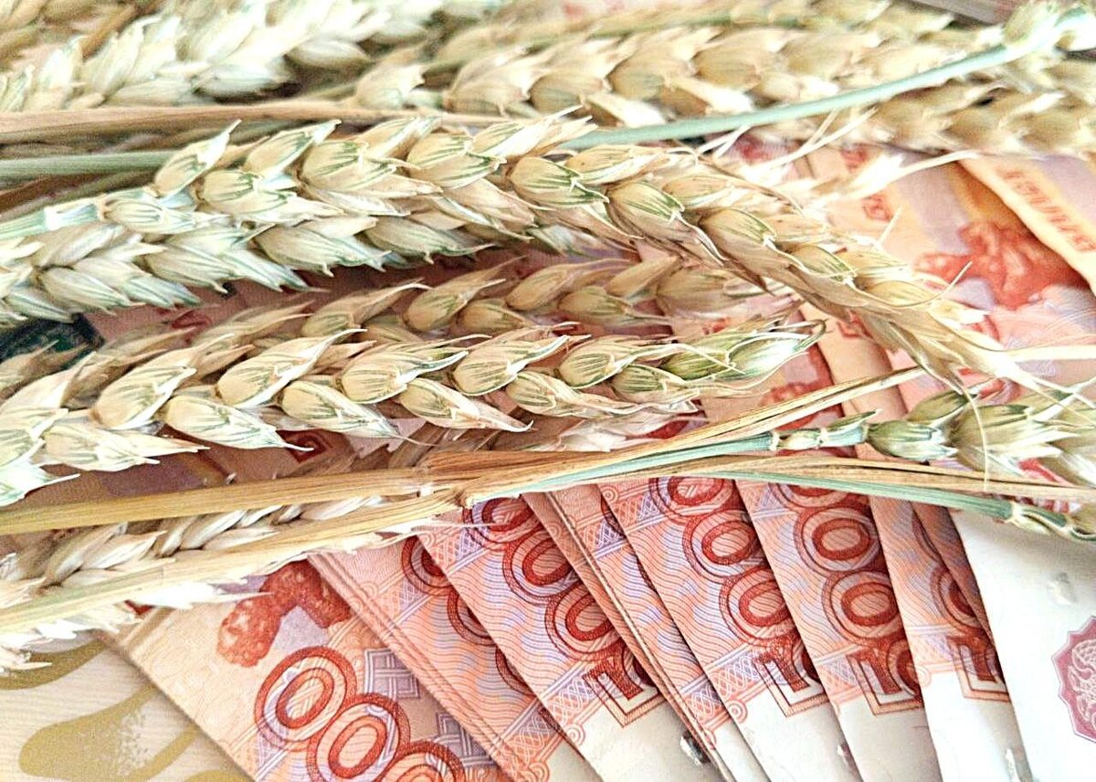 Фото: АПК Новости