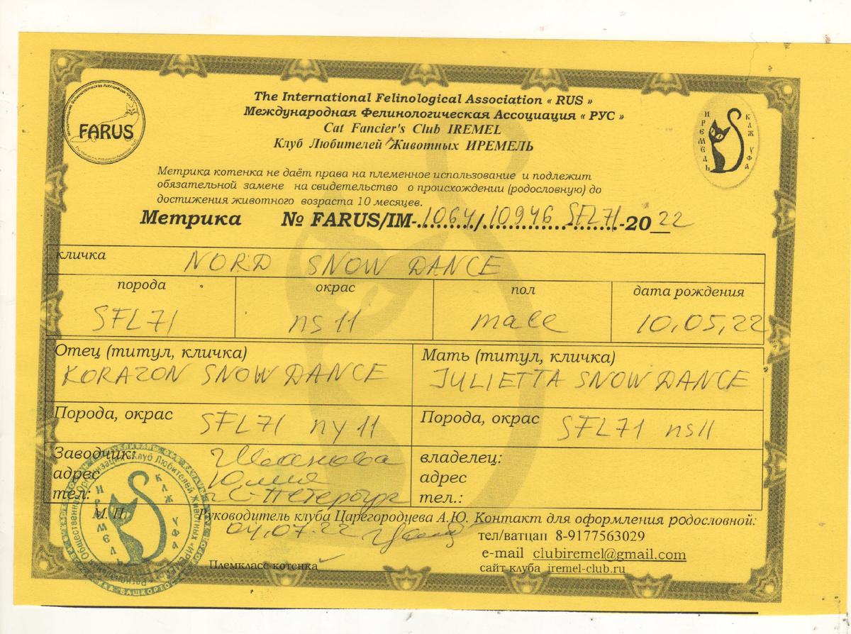 Метрика породистого котёнка