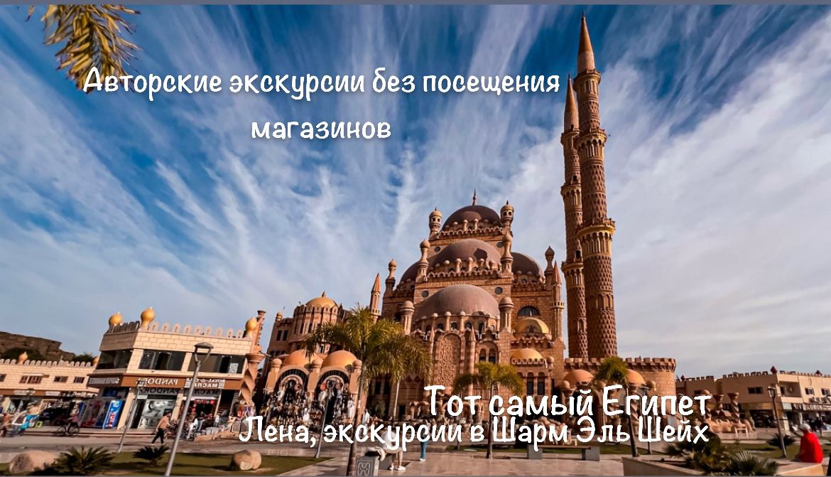 Номер телеграмм +201024236561