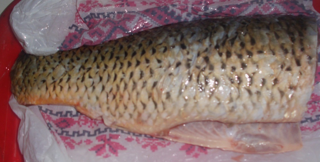 Очищенный карп. Личное фото автора канала Житейская проза