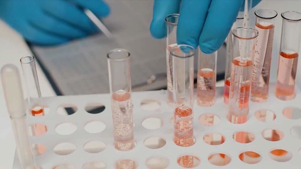 Фото: © Скриншот видео