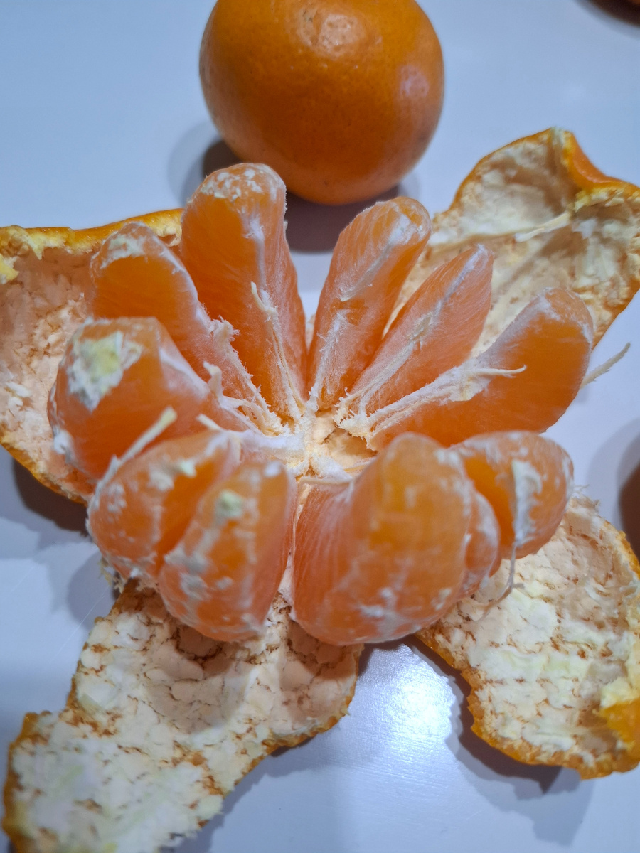 Фото автора.Мандарины.Новый Год.