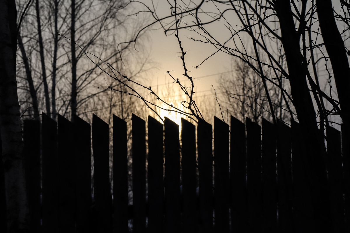 Elena Mayorova/Globallook Press