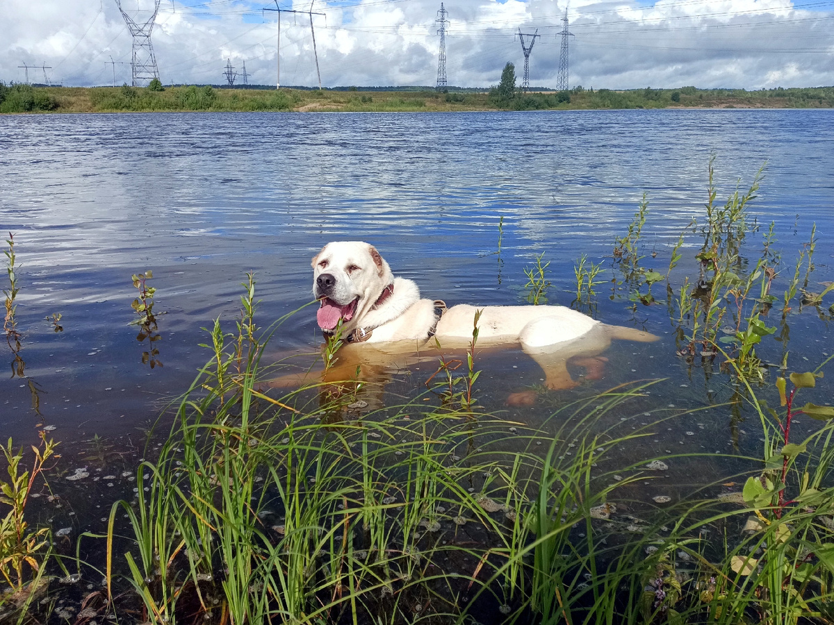 Адель принимает ванну и ждет, наверное, чашечку кофе