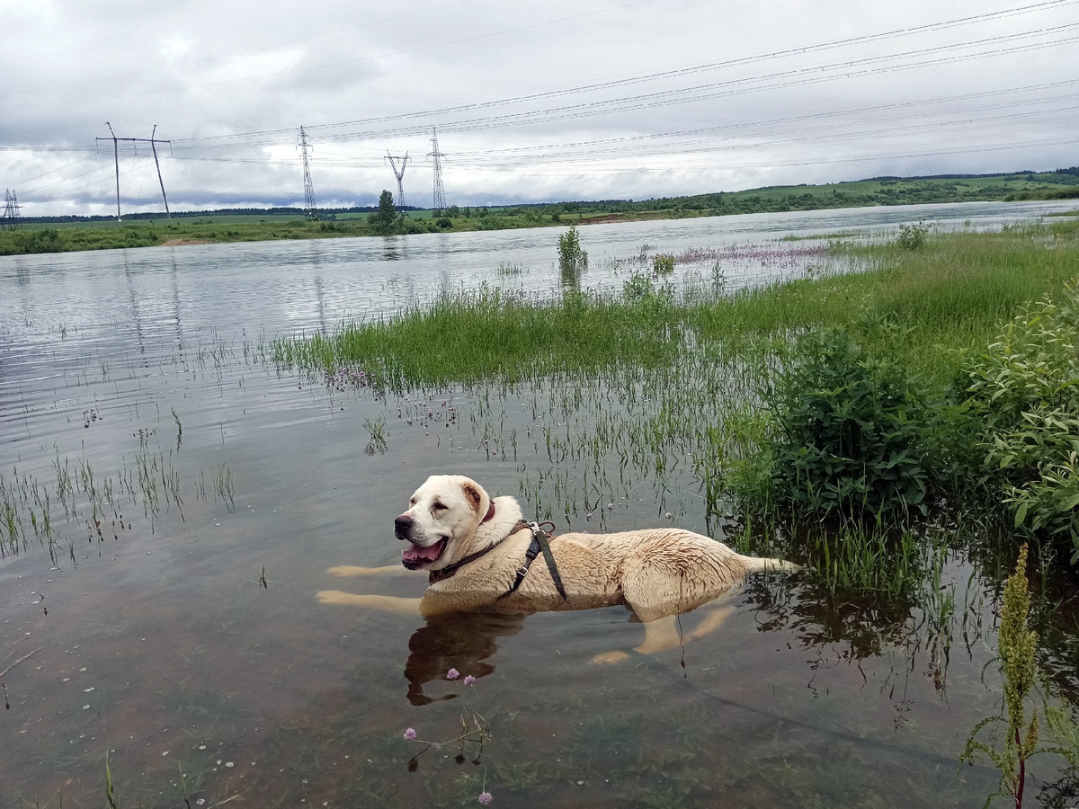 Пейзаж другой, а поза та же - вальяжная ))