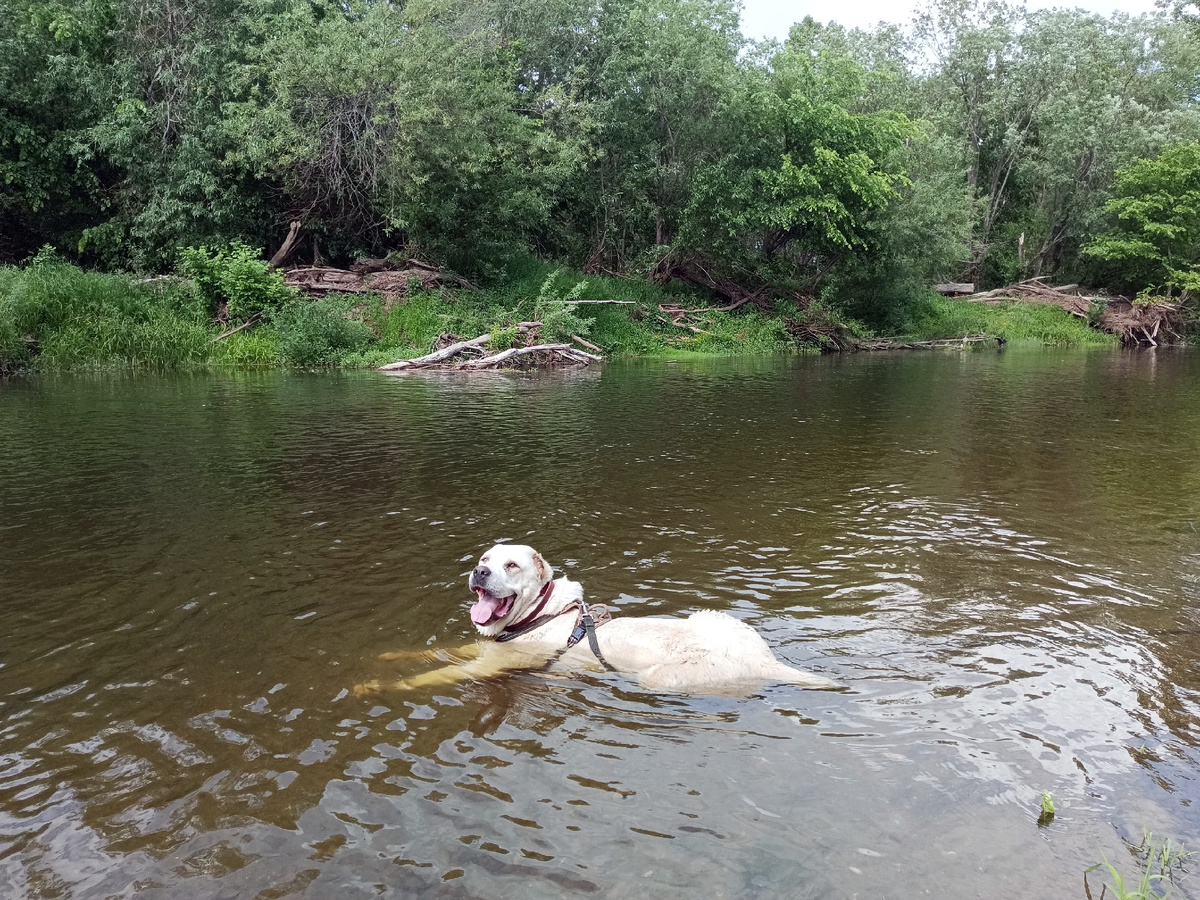 Во всех ты, душечка, пейзажах хороша! 