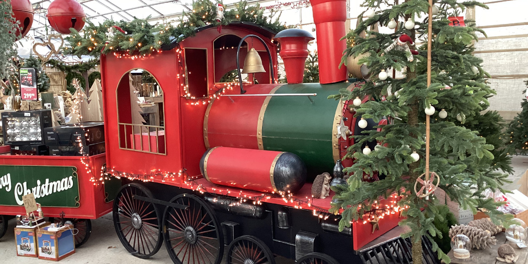 Сочетание приятного с полезным или путешествие в Рождество в садовом центре.