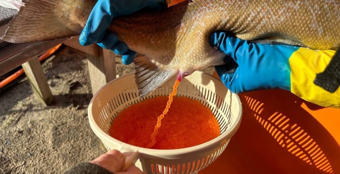    Фото: пресс-служба Минприроды Мурманской области