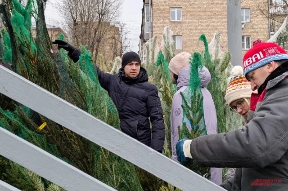    «Зима в Москве»: 270 елочных базаров открылись в столице