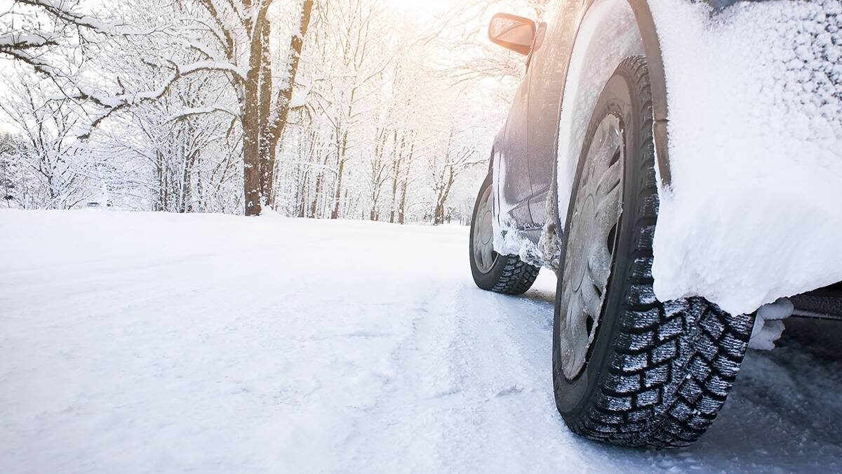    Фото: Shutterstock